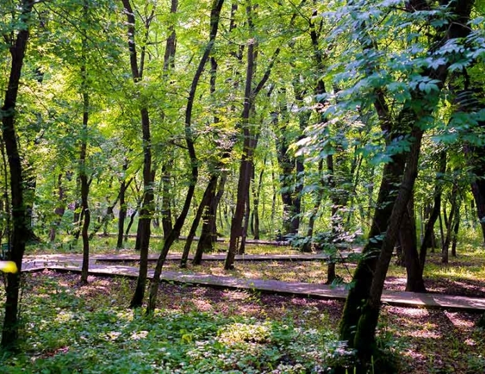 Санаторий «Долина Нарзанов» Железноводск