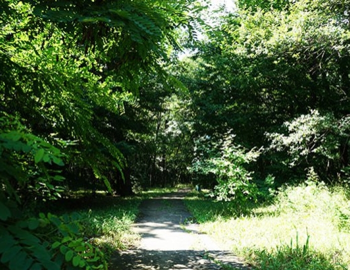 ЛФК и терренкур - Оздоровительные услуги - Санаторий «Долина Нарзанов» Железноводск