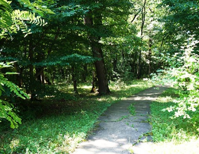 ЛФК и терренкур - Санаторий «Долина Нарзанов» РЖД-Здоровье Железноводск